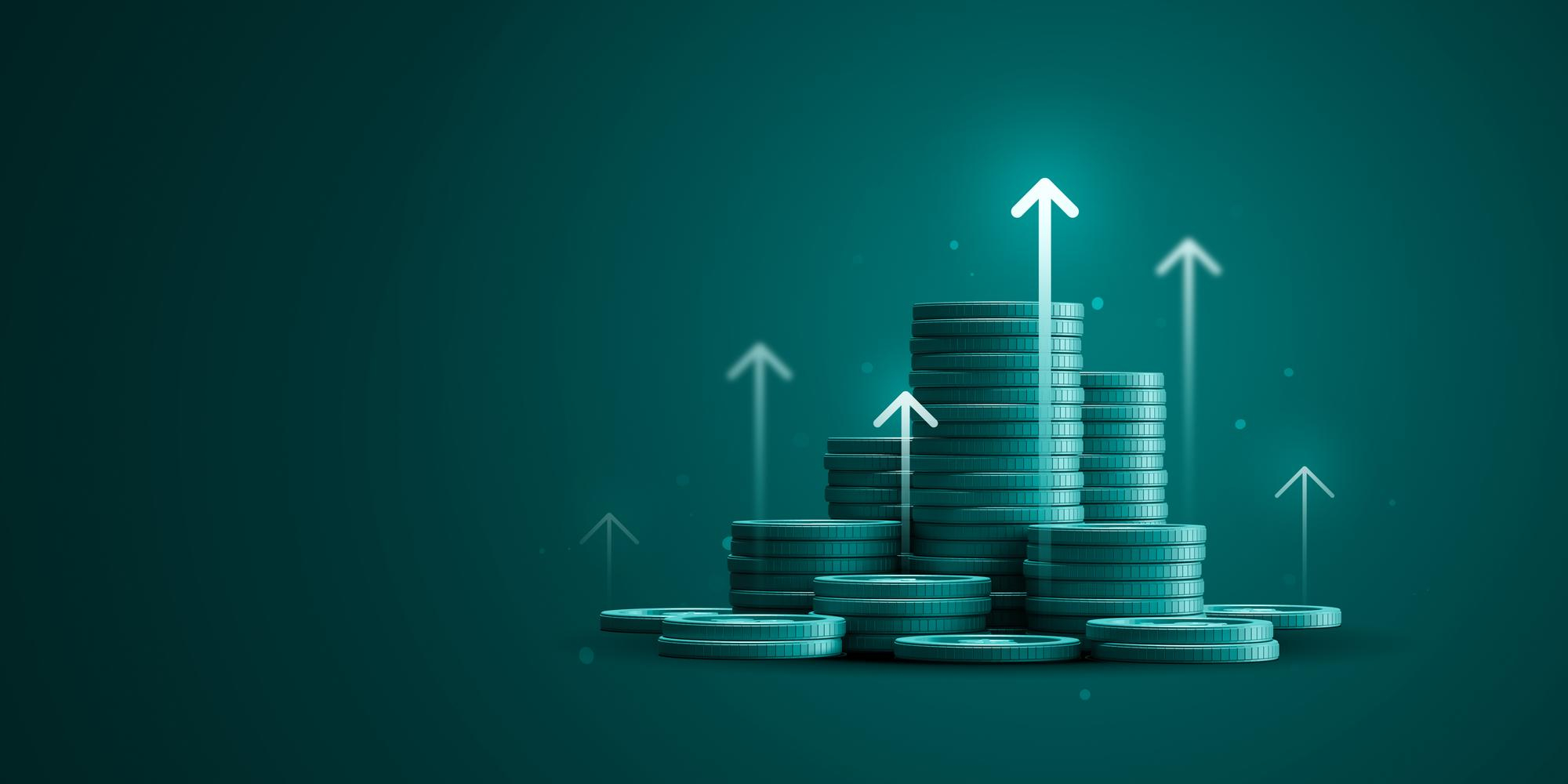 Portfolio and Allocation Strategy